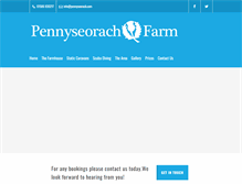 Tablet Screenshot of pennyseorach.com